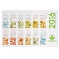 Seed Paper Wall Calendar